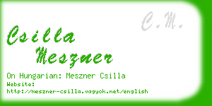 csilla meszner business card